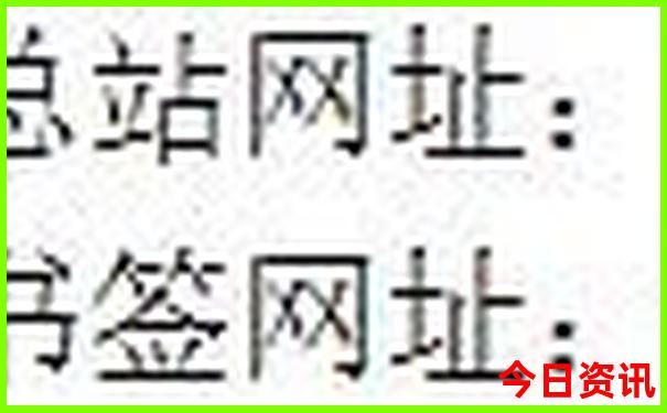 夏天t恤什么面料最好凉快